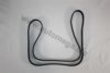 AUTOMEGA 3163400633 V-Ribbed Belts